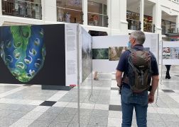 Jena Zeigt World Press Photo 2021 0007